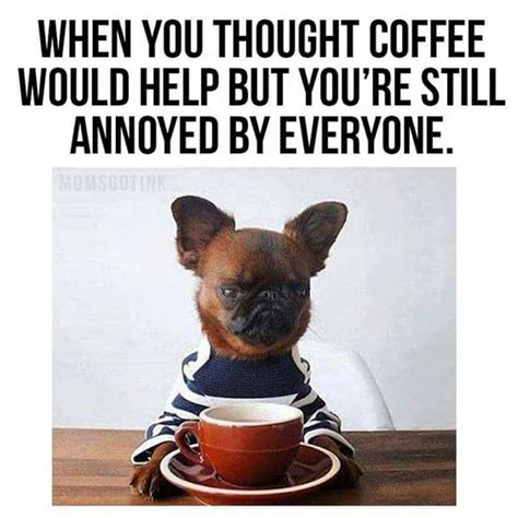 100 Coffee Memes So Funny They'll Make You Spit Out Your Coffee
