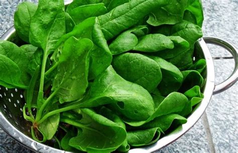 10 Weight Loss Tips For Runners