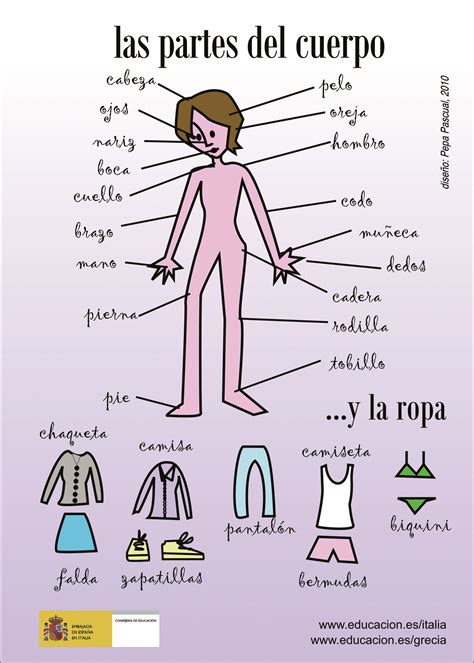 Las partes del cuerpo | Partes del cuerpo, Cuerpo, Cuerpo humano