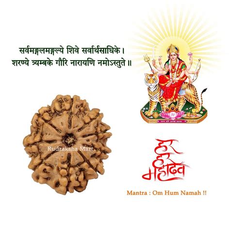 Nepali Rudraksha Shop in Mumbai(India) at Lowest Price | Buy Certified ...