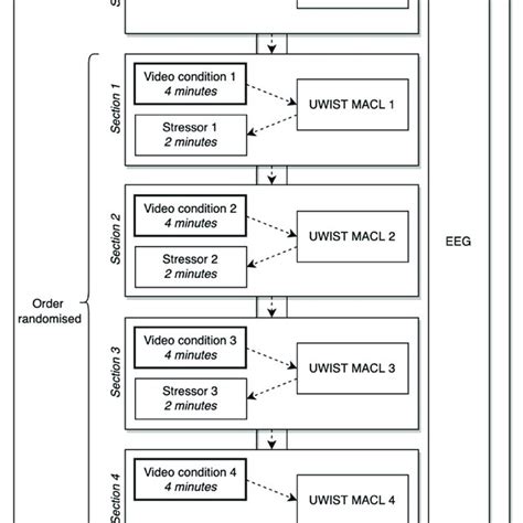 Science Experiment Procedure 的图像结果