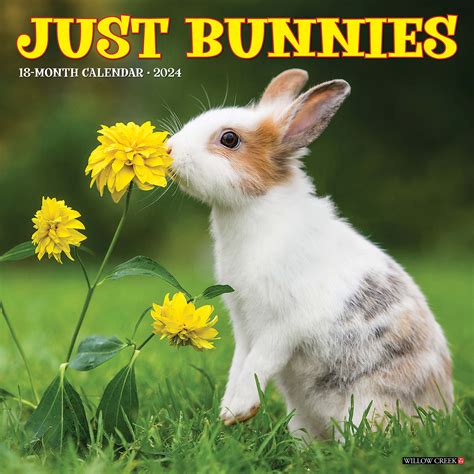 Willow Creek Press Just Bunnies 2024 Wall Calendar, 12" L X 12" W ...
