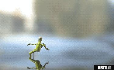 Image result for Lizard HTML Report Example