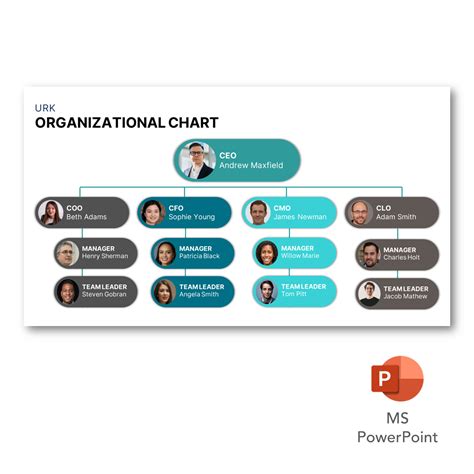 Org Chart Templates | High Quality Professional Templates