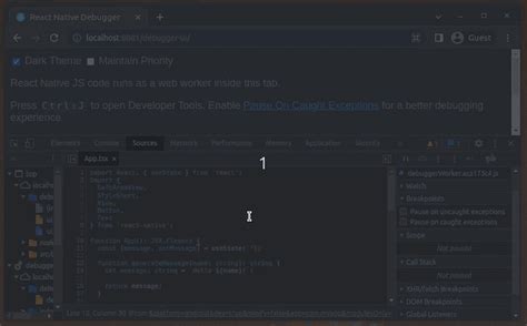 Debug TypeScript Browser vs Code 的图像结果
