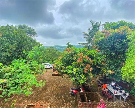 JUNGLE BY STURMFREI GOKARNA (Karnataka) - Hostel Reviews, Photos, Rate ...