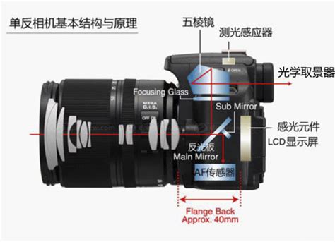 EOS数码相机使用攻略首页 | EOS数码相机使用攻略 | 佳能（中国）