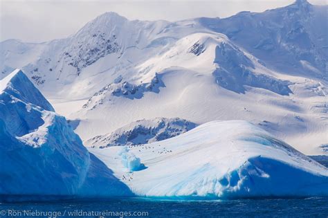 Elephant Island, Antarctica. | Photos by Ron Niebrugge