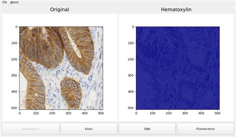 Python Scikit 的图像结果