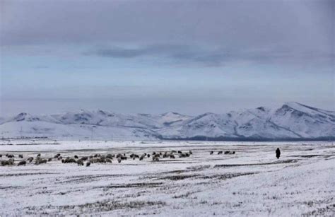 内蒙古下雪了吗2020 国内下雪最早的城市_旅泊网