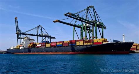 MSC ROSHNEY V, Container Ship - Details and current position - IMO ...