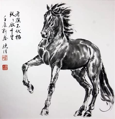 画马的比例尺寸,画一只霸气的马,画一只飞马_大山谷图库