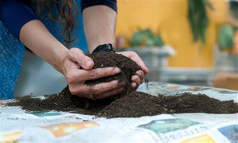 Conscious Collective