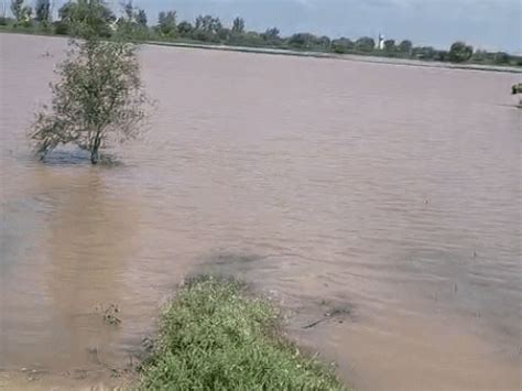 Bahadurgarh drain breaches, flood threat in industrial area; MLA ...