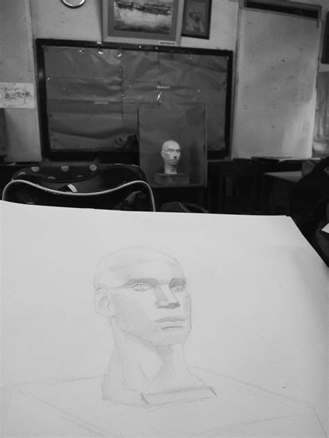 Image result for Face Structure Drawing