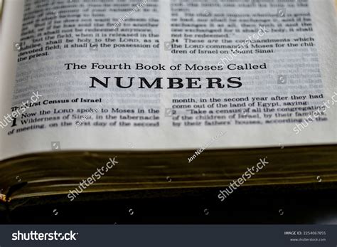 Book Of Numbers Bible
