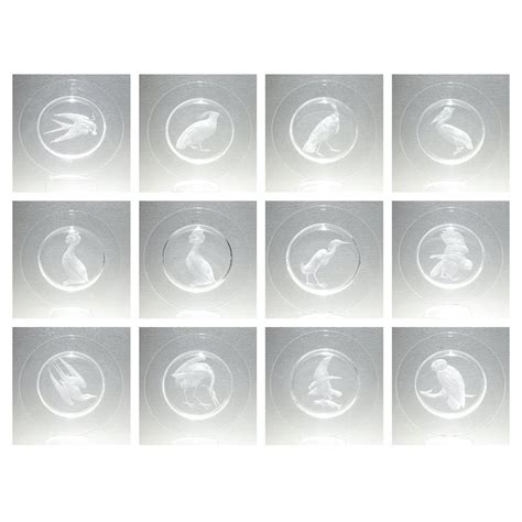 Set of 12 Steuben Wheel Engraved Crystal or Glass Audubon Plates by ...