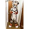 Spot Huksy Dog Gray Fursuit Fullsuit Teen Costumes | Ubuy India