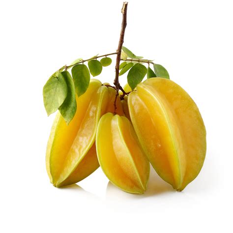 Arkin Star Fruit – South Eden Nursery