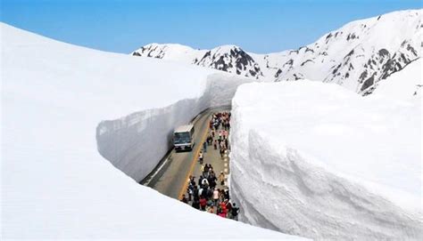 全球降雪量最多的地方：公路上的积雪达20米厚，每年吸引无数游客|立山|降雪量|积雪_新浪新闻