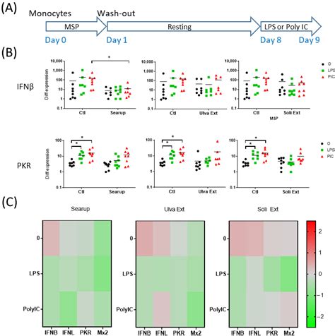 Marine-Sulfated Polysaccharides Extracts Exhibit Contrasted Time ...