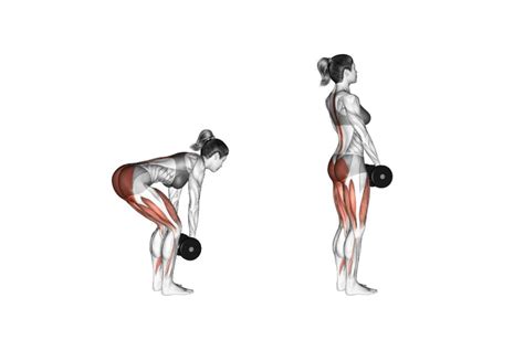 Transforming Your Body After 40: The Only 7 Exercises Women Need to Get ...