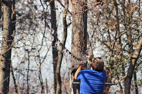 Image result for Canopy String Lights