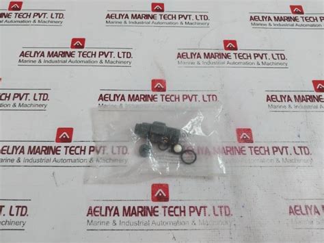 Prominent 1001438 Discharge Non-return Pressure Valve – Aeliya Marine Tech