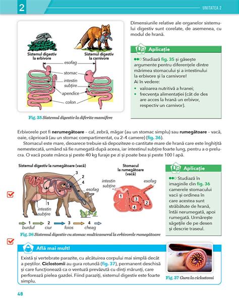 BIOLOGIE, manual clasa a VI-a - 2023 by Editura Litera - Issuu