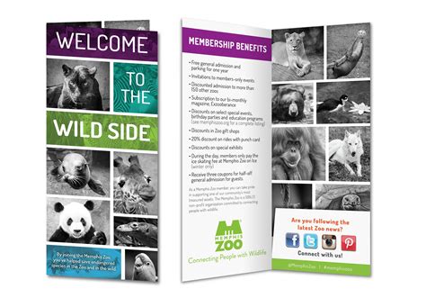 2014 Membership Folder by Laura Horn for the Memphis Zoo. | Memphis zoo ...