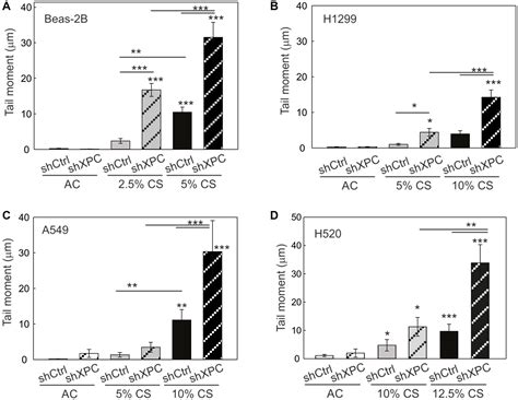 Cigarette smoke and decreased DNA repair by Xeroderma Pigmentosum Group C use a double hit ...