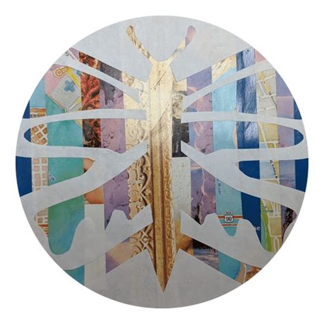 Image result for Butterfly Collage