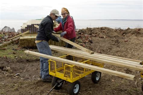 Terns nesting among military history on Great Gull Island | Article ...