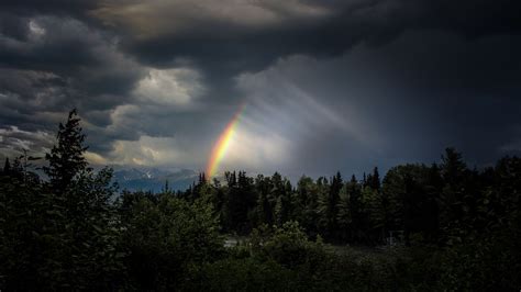 Download wallpaper 2560x1440 trees, rainbow, sky, dark widescreen 16:9 ...