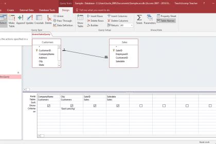 MS Access Query Run 的图像结果