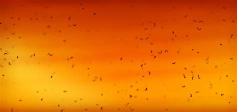 Image result for JavaScript Background Animation