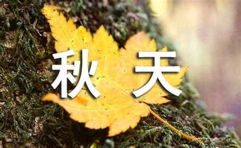 美丽的秋天作文15篇【热】