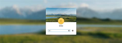 Elementary OS 的图像结果