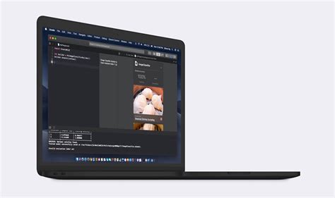 Xcode 10.6 的图像结果