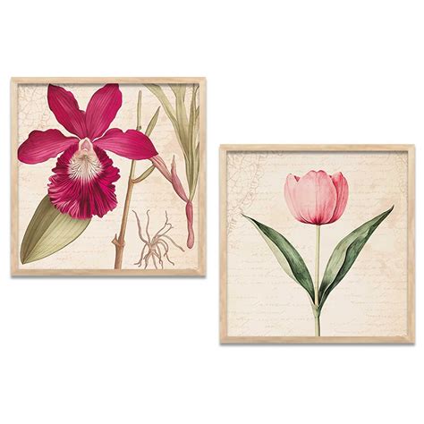 Kotart Botanical Wall Art Painting | Premium Art Framed Wall Paintings ...