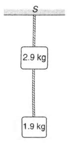 Two blocks of mass 2.9 kg and 1.9 kg are suspended from a rigid support ...