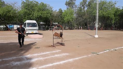 Gujarat Police K9 Unit becomes more lethal: 'Super Dogs' against terror ...