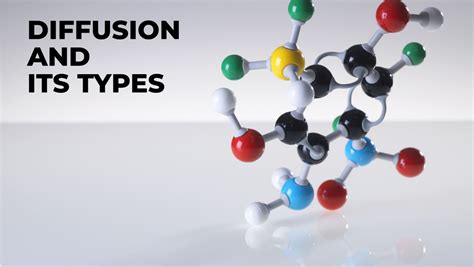 Types of Diffusion 的图像结果