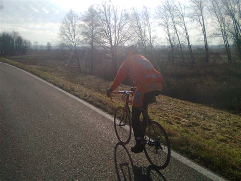 Brown Shag Band Meaning