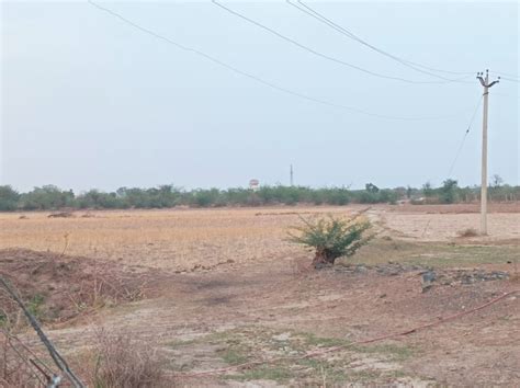 10 Bigha Agricultural/Farm Land for Sale in Naugaon, Alwar - by Shri ...