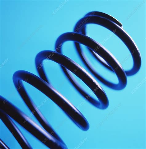 Image result for Spring Reation