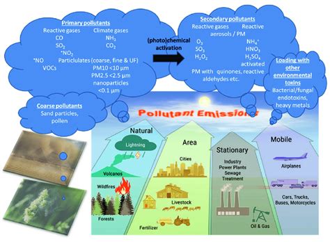 Main Types of Pollution 的图像结果