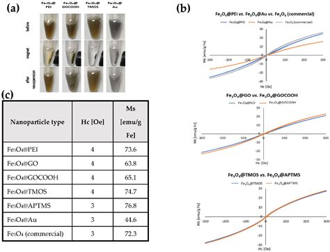 Comparative Evaluation of Different Surface Coatings of Fe3O4-Based ...