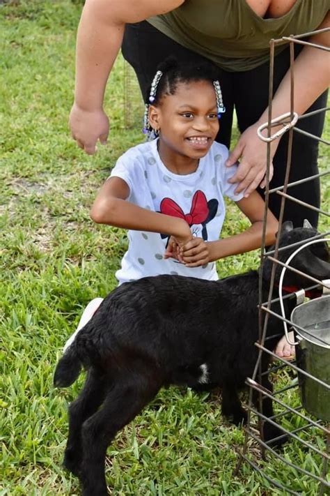 DLC Nurse and Learn Office Photos