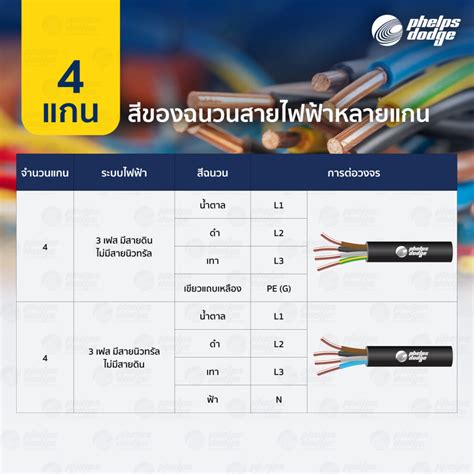 สีของสายไฟฟ้า และการระบุสัญลักษณ์ตัวนำ มาตรฐานกำหนดไว้อย่างไร?